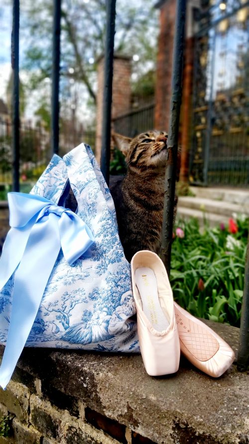 Toile de jouy bleu 1